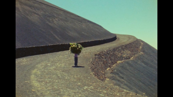 THE STORY OF DOCUMENTARY FILM (THE 1970S)