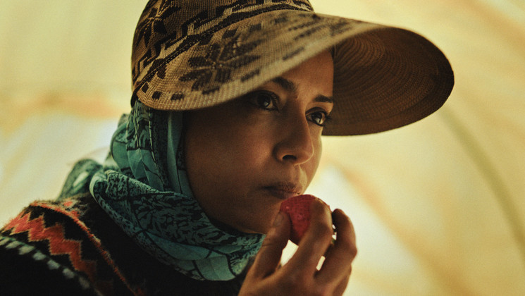 STRAWBERRIES ©LUMEN–ATELIER DE PRODUCTION-MONT FLEURI PRODUCTION-FASTEN FILMS-MIRAGE-PRAESENS-FILM PRODUCTION AG-FRANCE 3 CINÉMA-IMPACT FILM