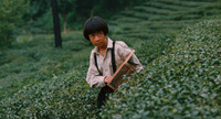THE DULL-ICE FLOWER © 2026 Taiwan Film and Audiovisual Institute