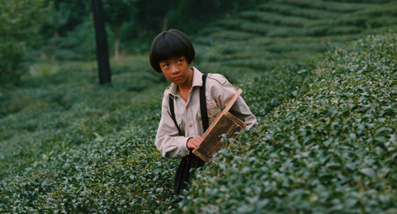 THE DULL-ICE FLOWER © 2026 Taiwan Film and Audiovisual Institute