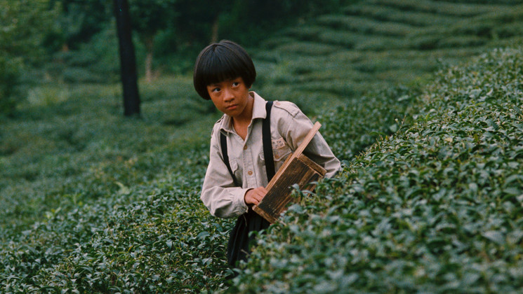 THE DULL-ICE FLOWER © 2026 Taiwan Film and Audiovisual Institute