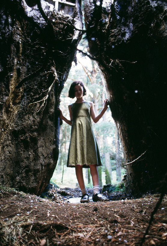 LE LABYRINTHE DE PAN