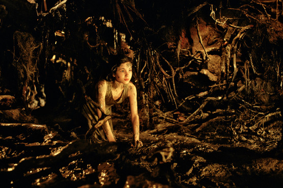 LE LABYRINTHE DE PAN