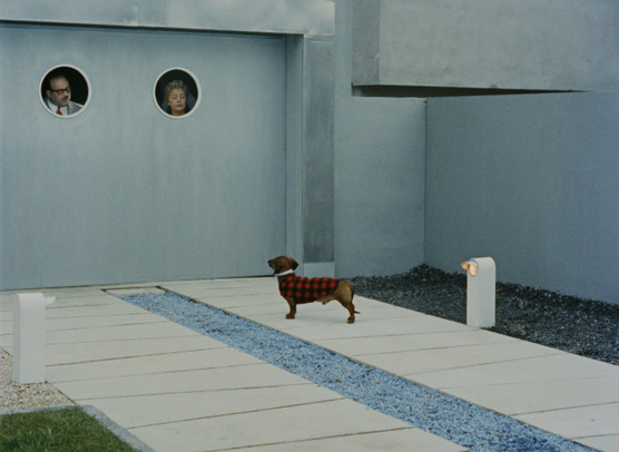 MON ONCLE © Les Films de Mon Oncle – Specta Films CEPEC