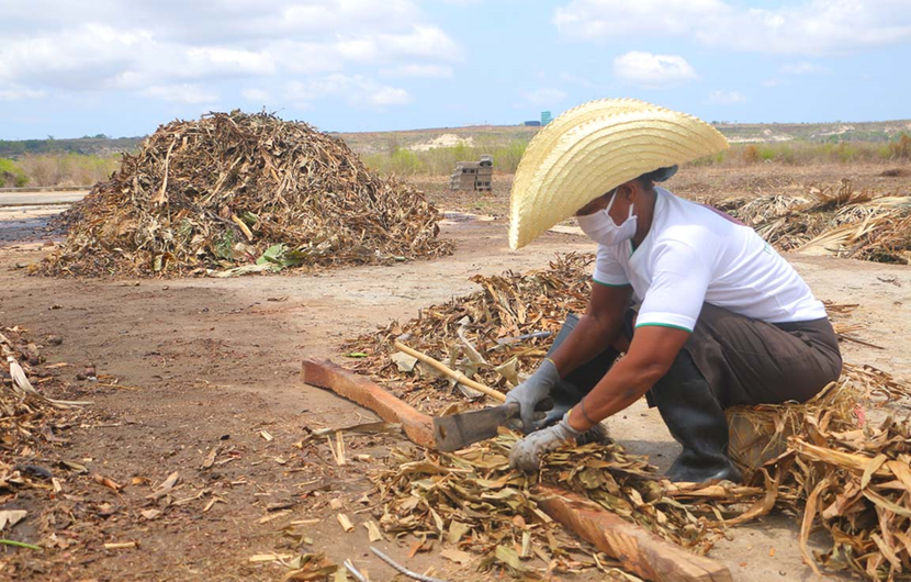 Sorting of compost waste in Madagascar © Fondation Goodplanet
