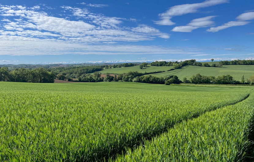 © ReSoil